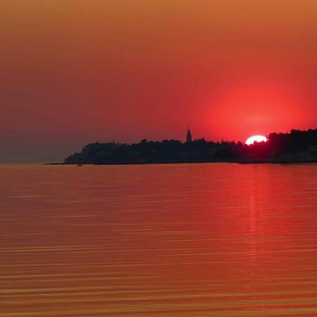Apartment Novigrad City Centre المظهر الخارجي الصورة